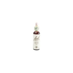 Bach 23 Olive - 20ml