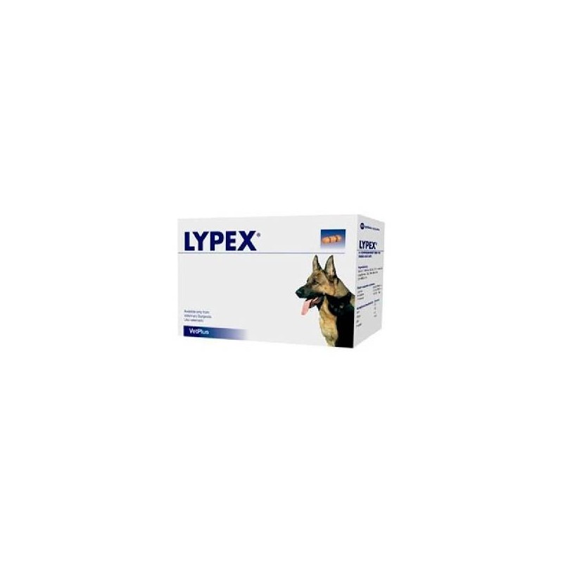 LYPEX 60 CAP VET